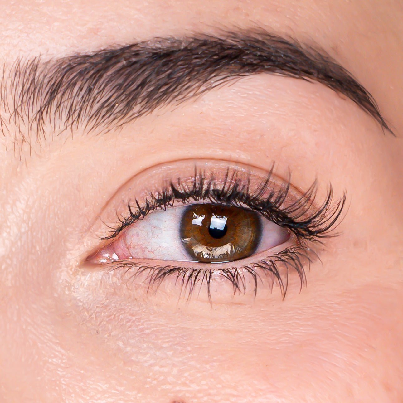 Faux Cils Ultra Light PLUME - Effet Oeil de Chat - Ishyati Beauty